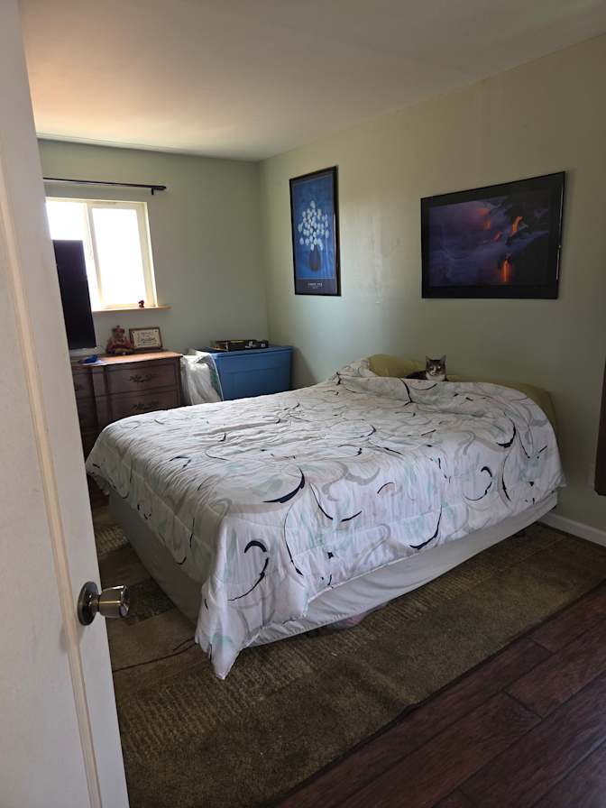 Jan's room