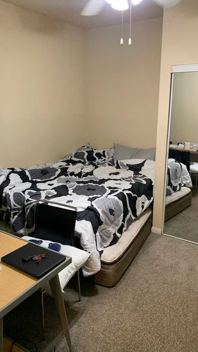 Ally chelady's room