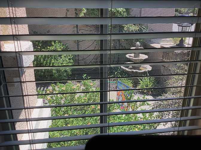 Mary's room