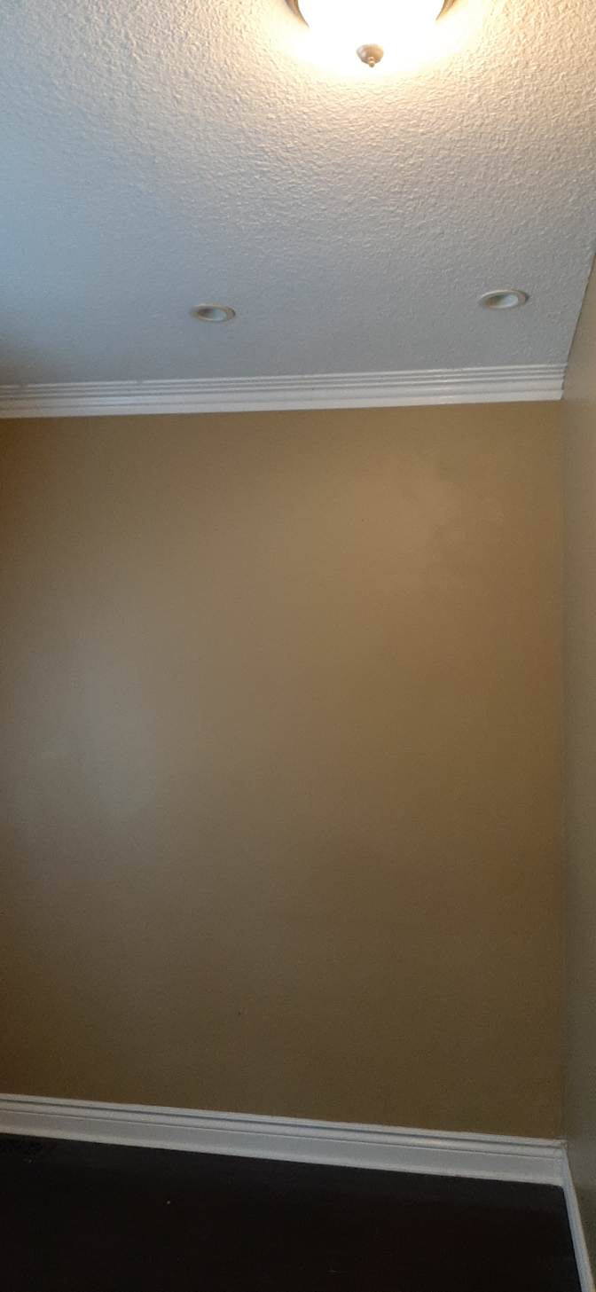 Can's room