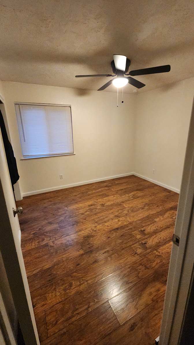 Dillard's room
