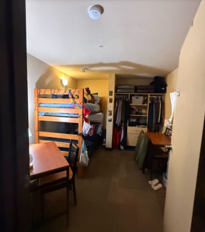Shreya Bhargava's room