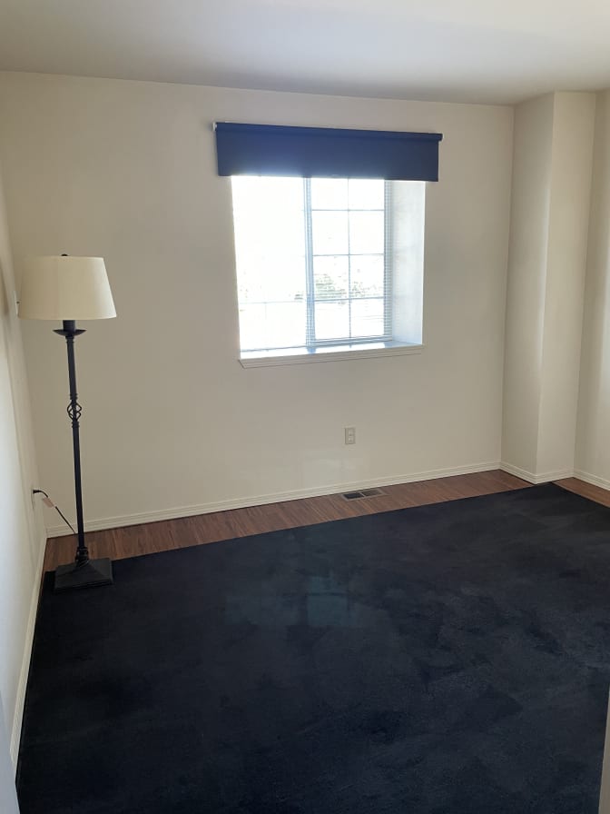 Wendy's room