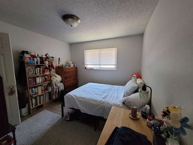 Morgan's room