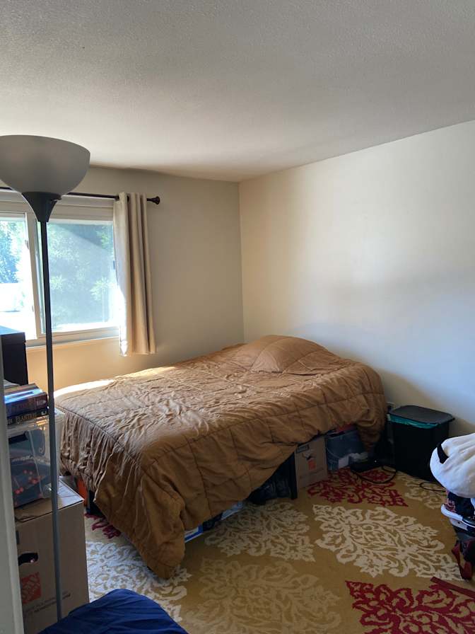 Barb's room