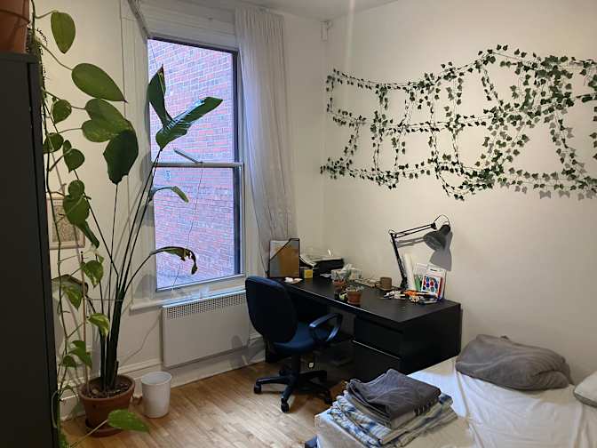 Hugo's room