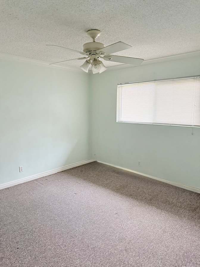 Amy Fessenden's room