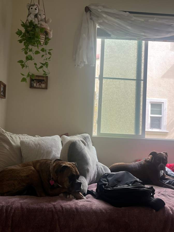 Domonique's room