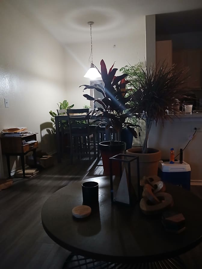 Rodney Lomax's room