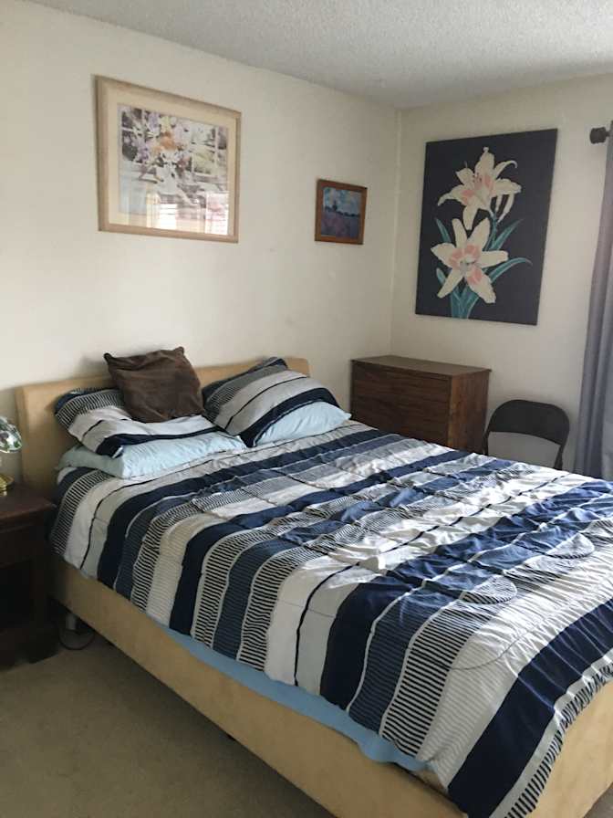 Mario's room