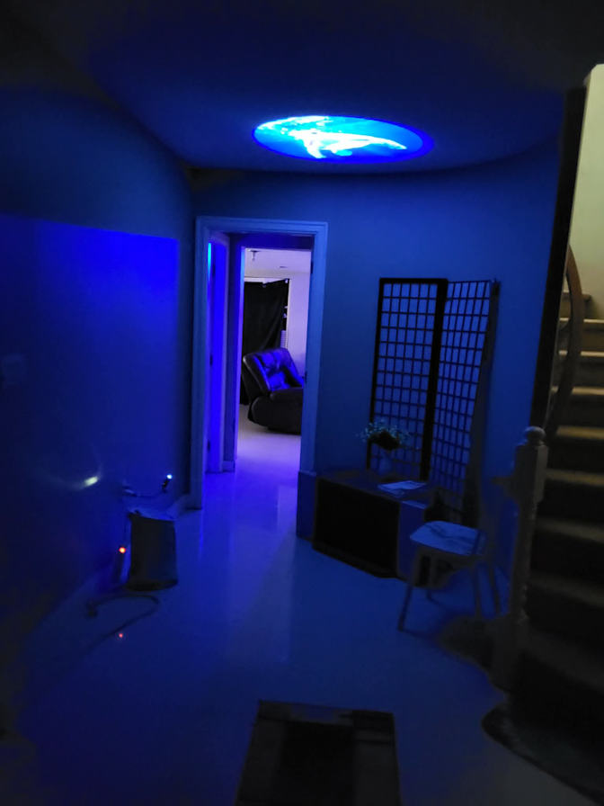 Eddy's room