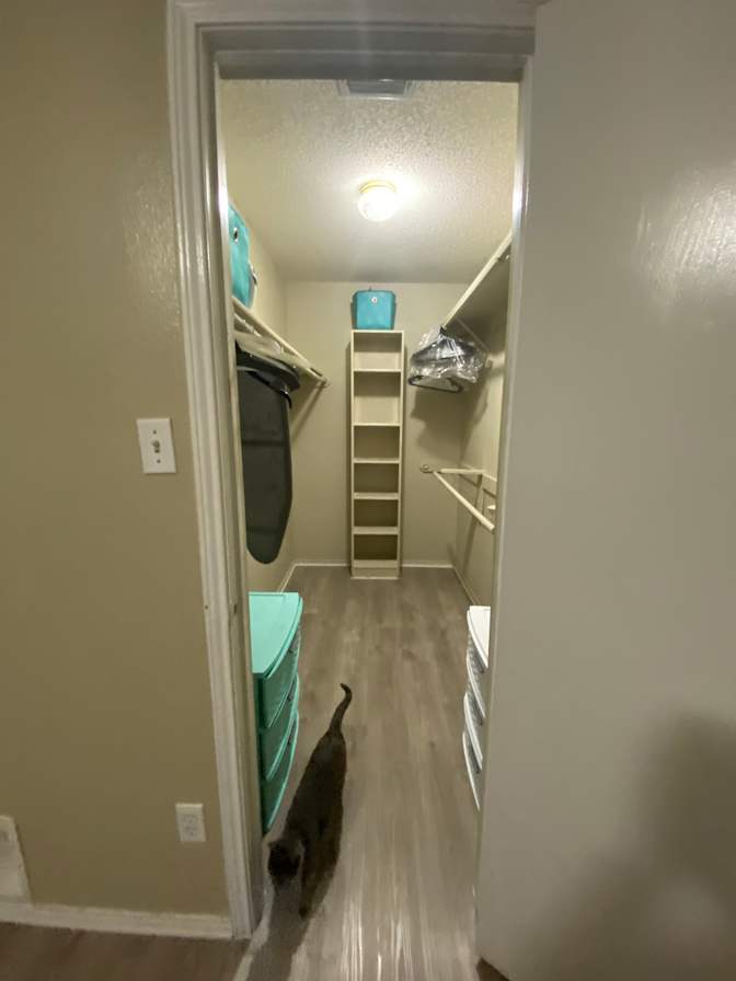 Rachel's room