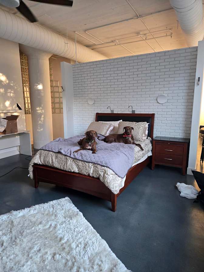 Freddie's room