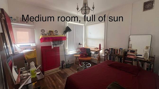 Xaxi's room