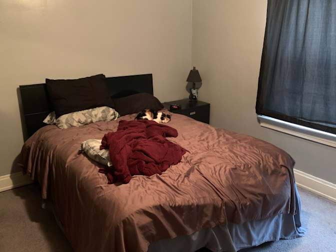 Jerry's room