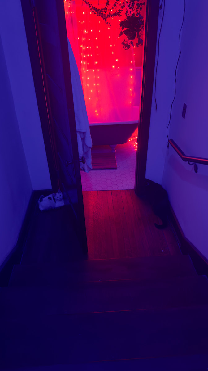 Matt's room