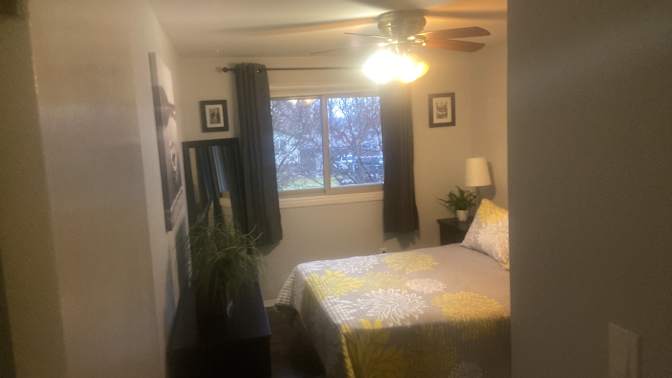 Shelly's room
