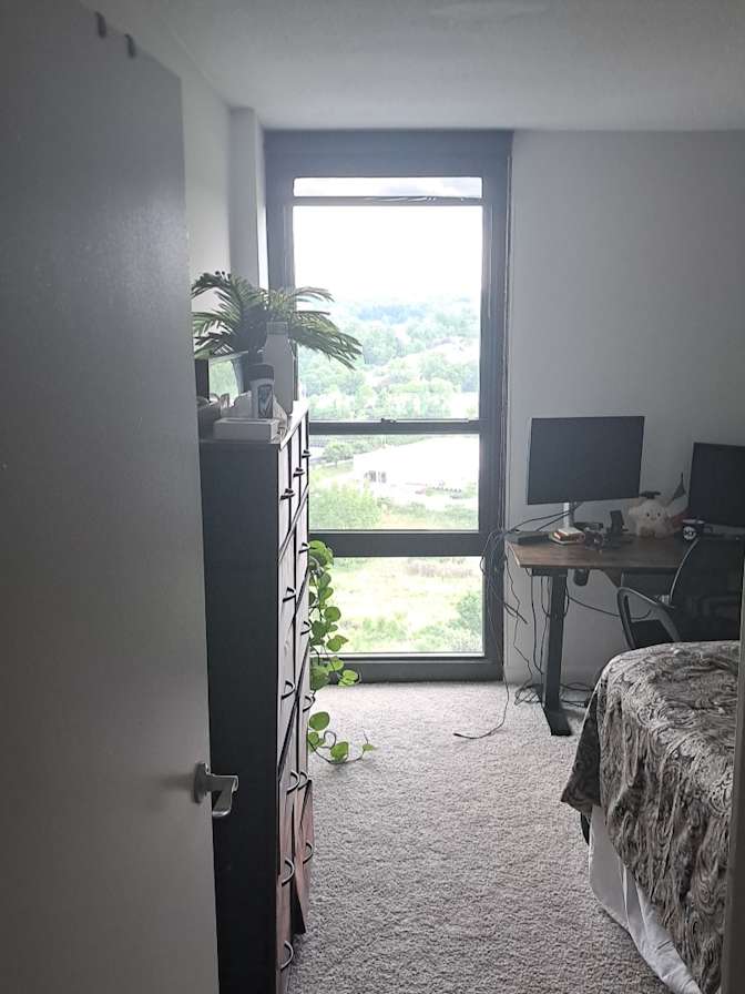 Luca's room