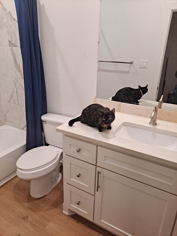 Barbara's room