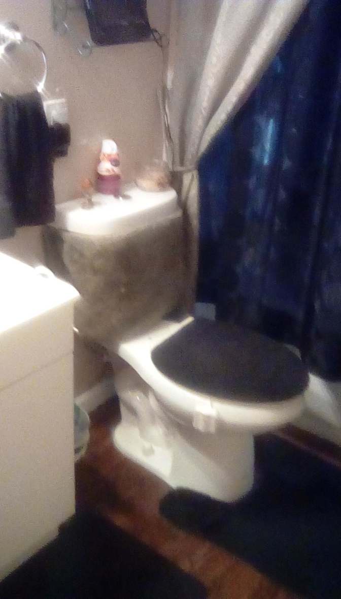 Ron's room