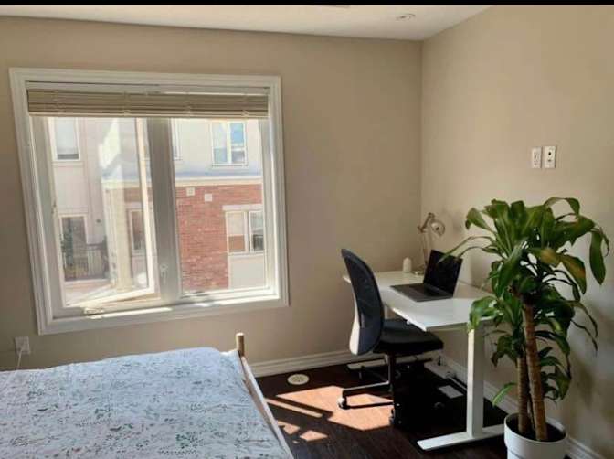 Tarik Towfeq's room