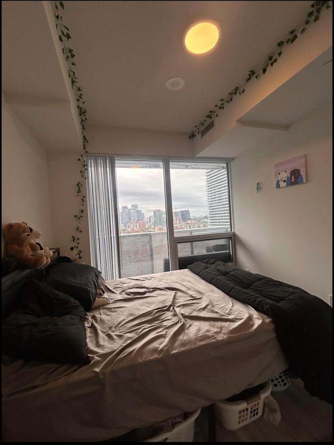 Breej's room