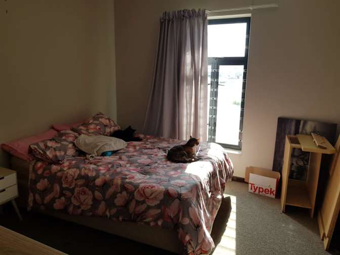 Vanessa's room