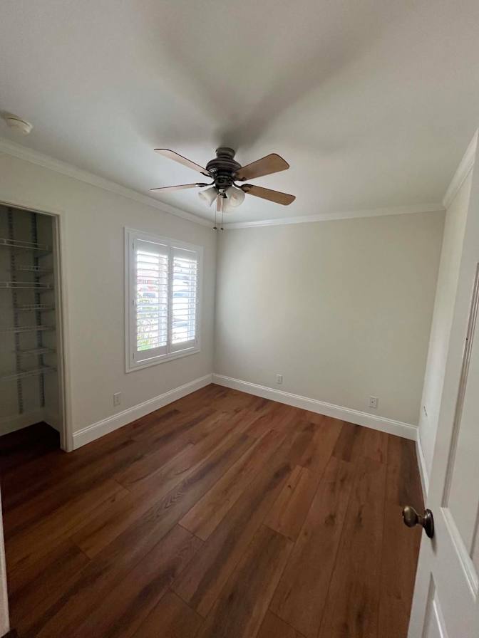 Thomas Ngo's room
