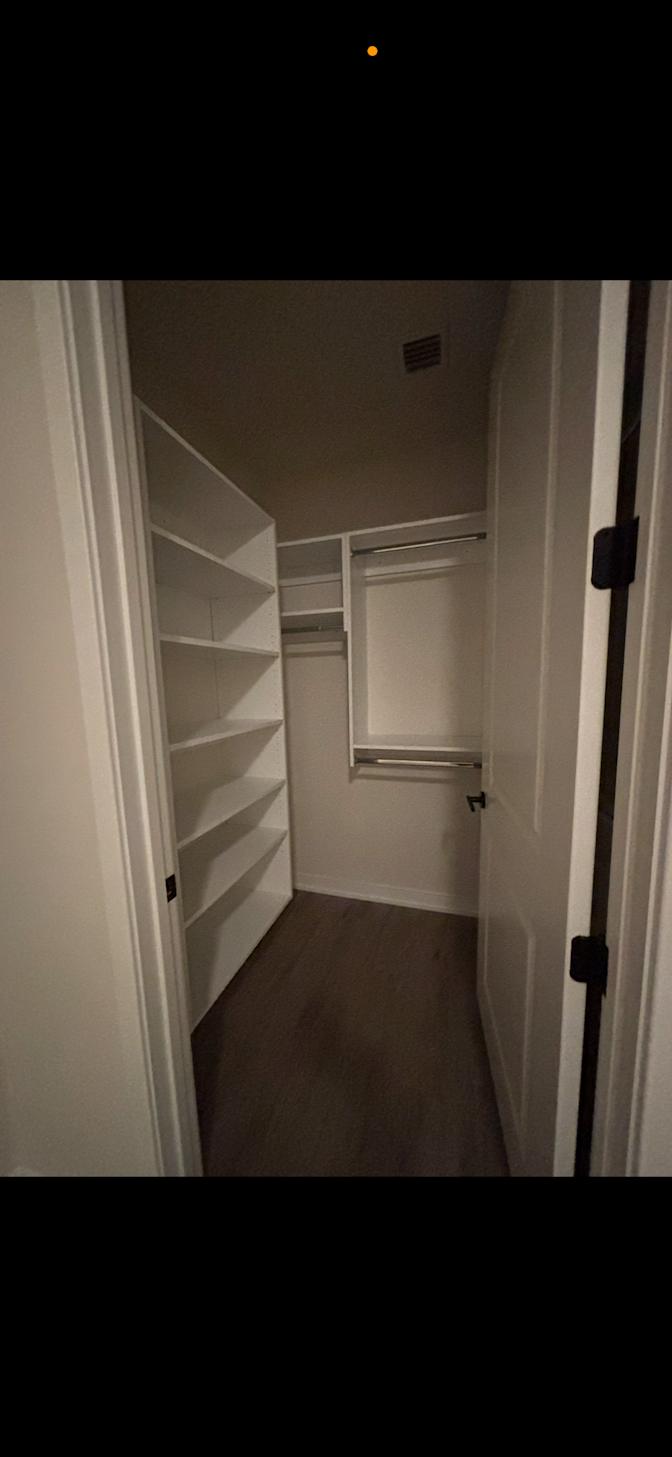 Lauren's room