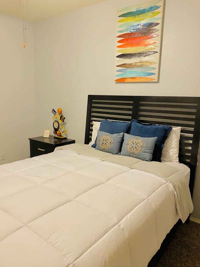 Chatney Dawson's room