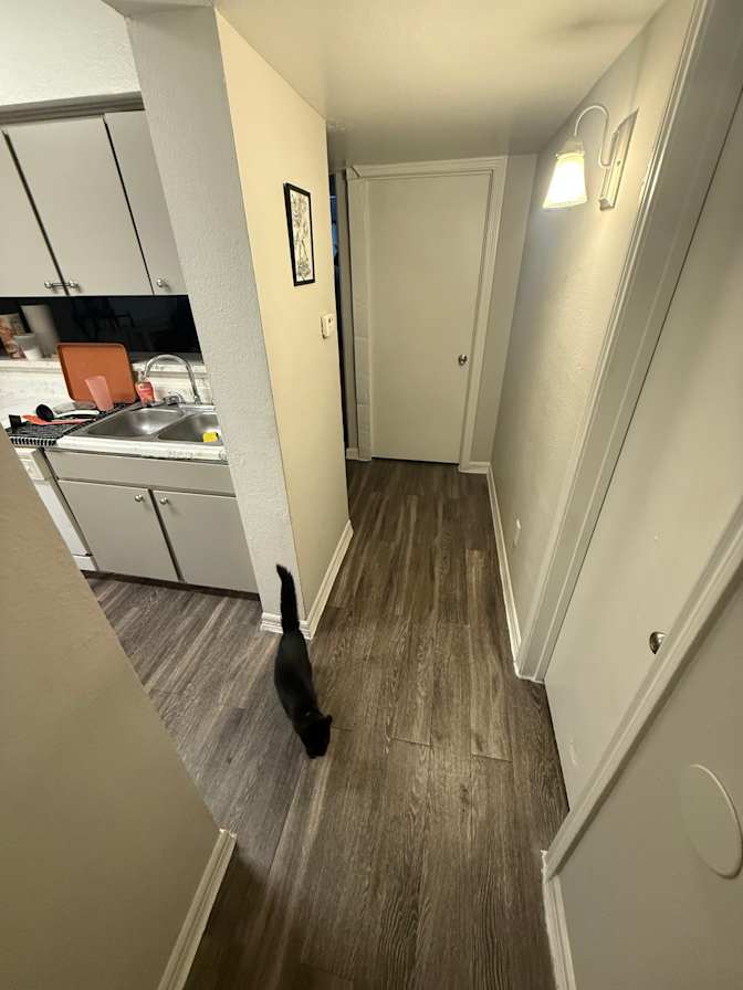 Joshua's room