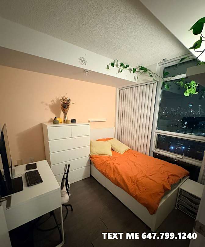 Lawrence's room