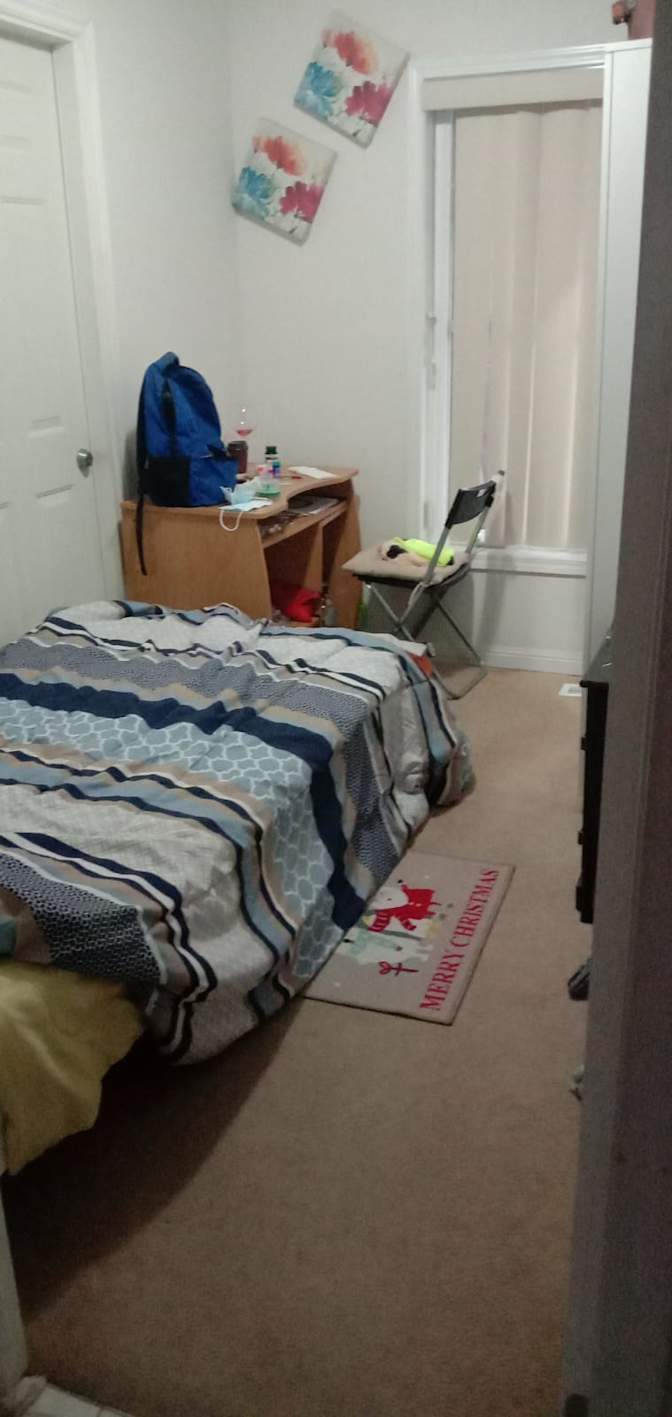 Shaheen's room