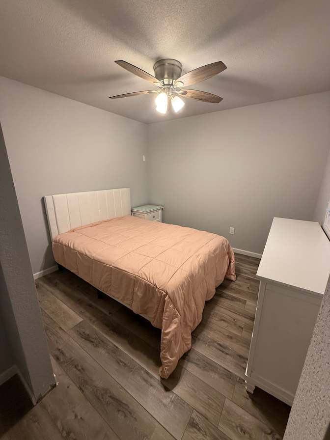 Paige's room