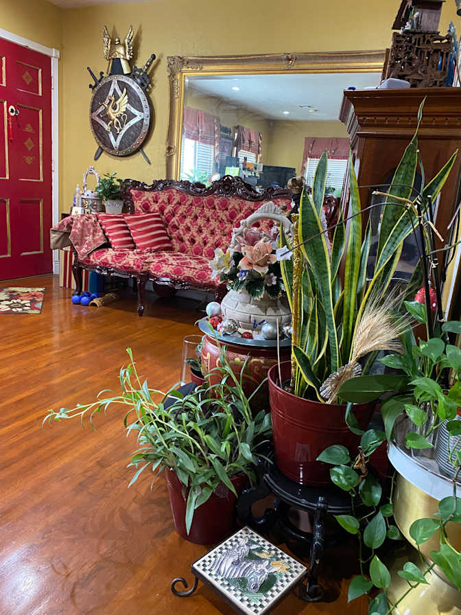 Agnes's room