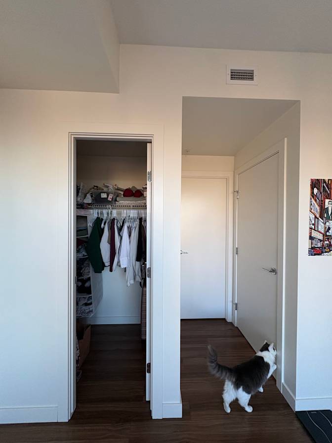 Maha's room