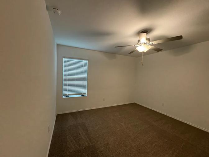 david's room