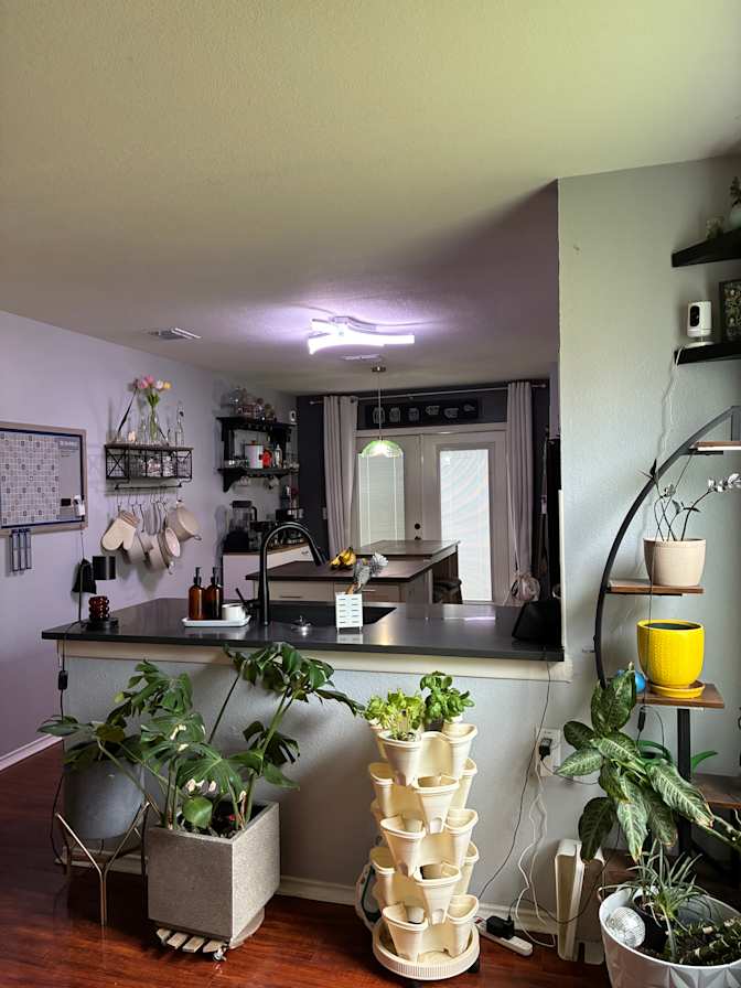 Erika's room