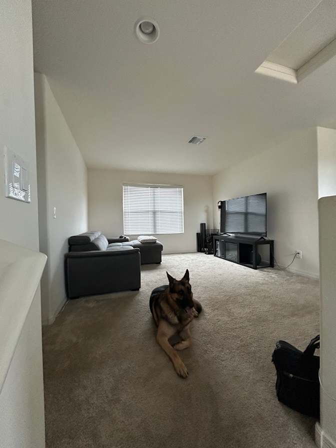 Alexis's room