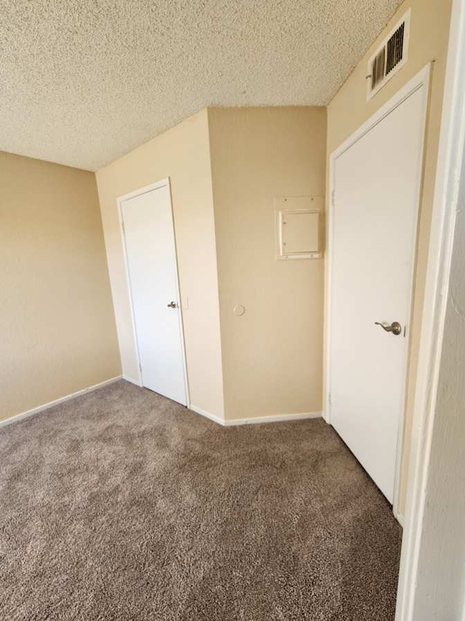 Mary's room