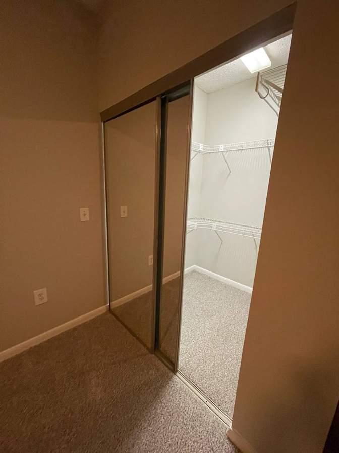 Selia's room