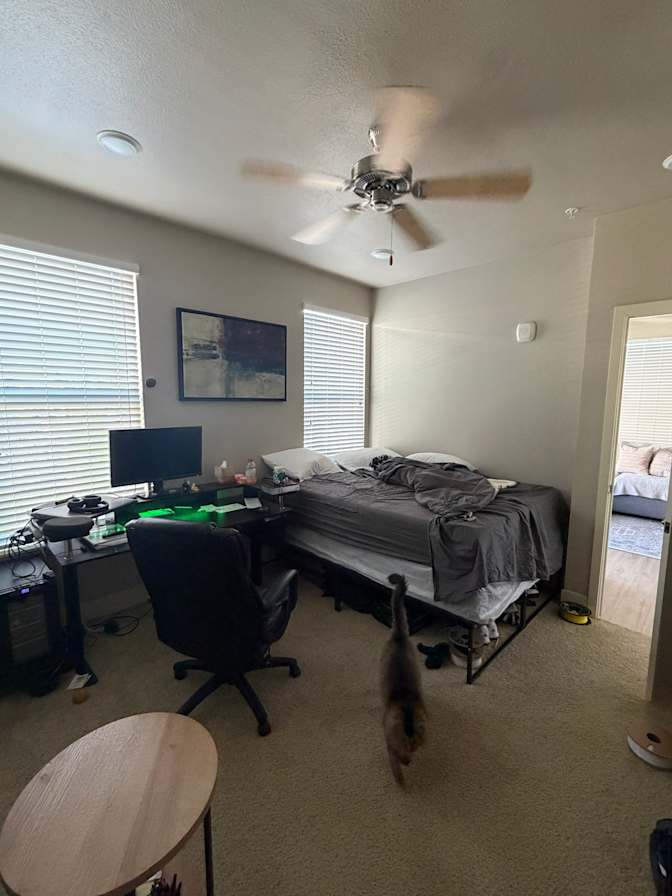 Shayla's room