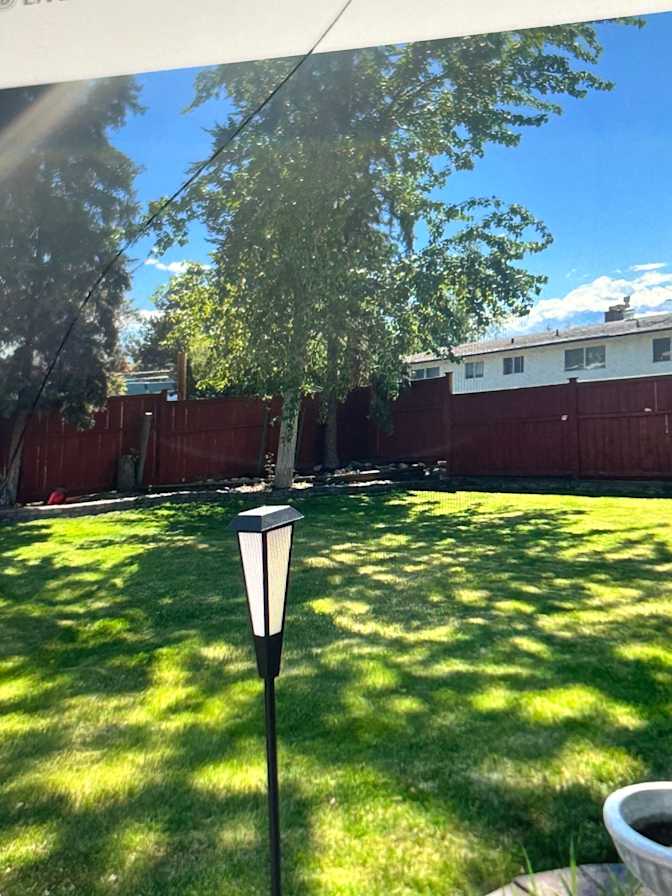 Tasha Hillman's room