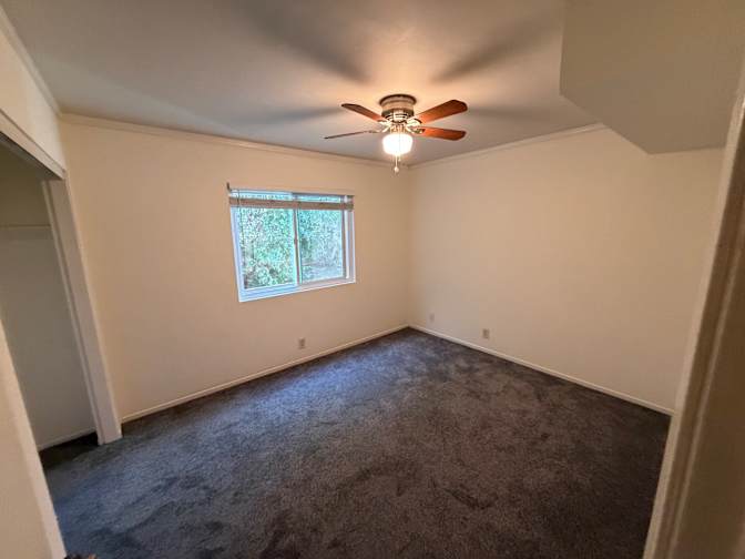 Greg's room