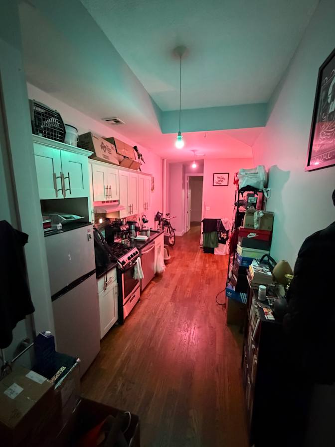 Aleksey's room