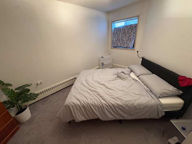 C-aira Stucklschwaiger's room