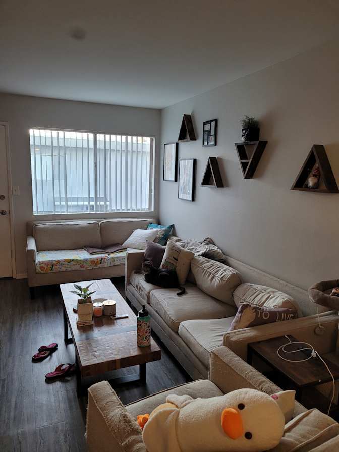 Jane's room