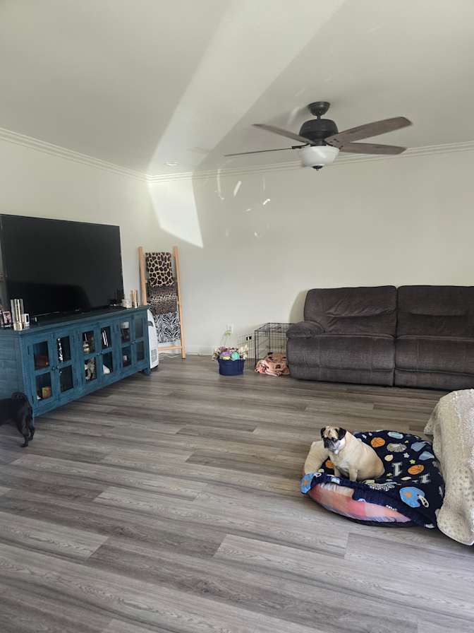 Ericka's room