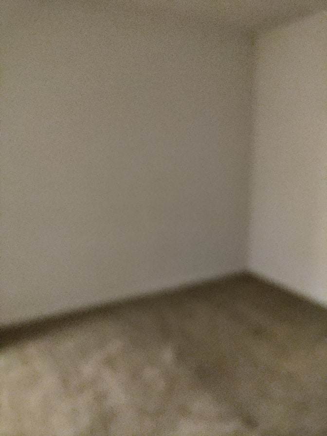 Luz's room