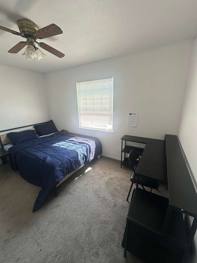 Ola's room